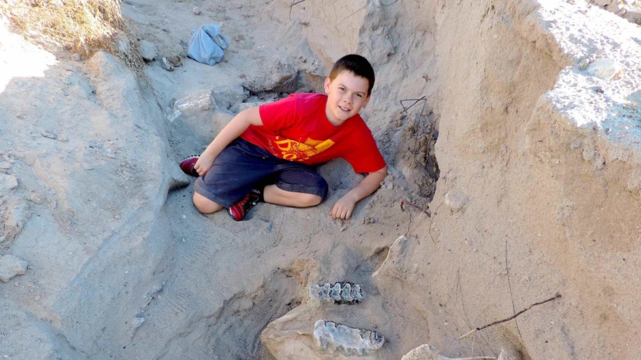 Iowa Teenager Finds Prehistoric Mastodon Jaw Bone