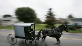 8-Year-Old Killed When Truck Strikes Horse-Drawn Carriage