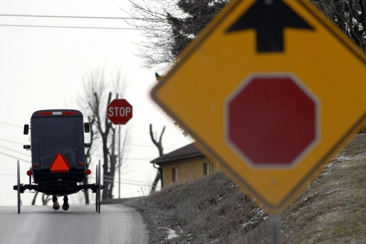 horse and buggy in Amish community