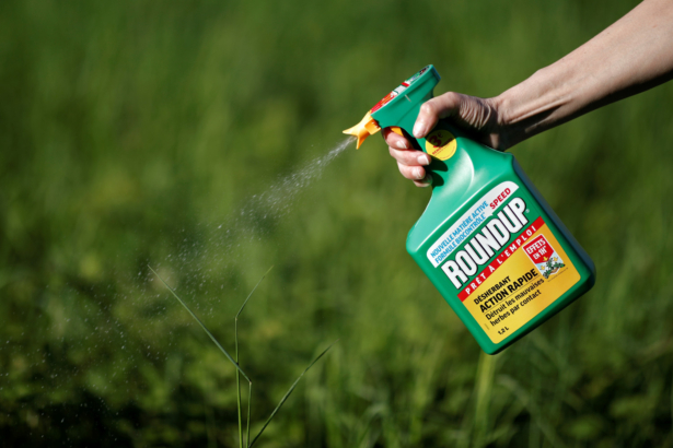 woman uses Monsantos Roundup weedkiller