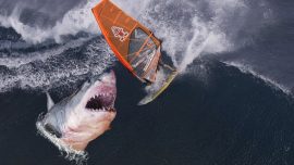 Inches Away From Being Devoured, Photographer Captures Frightening Pictures of Great White Shark