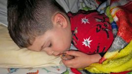 4-Year-Old Boy Accidentally Cuddles Pet Fish to Death