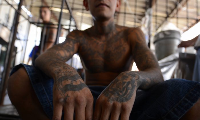 MS-13 Gang member