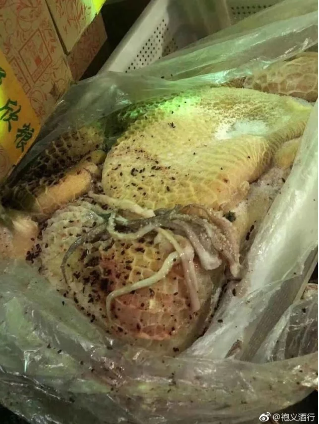 Mouldy Food