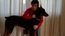 A 10-Year-Old Boy Sells His Toys to Pay for His Dog’s Medical Treatment