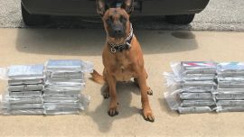 $1.4 Million of Cocaine at Traffic Stop Tracked Down, Thanks to K-9 Unit