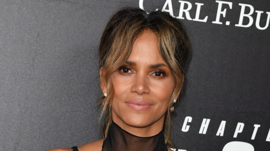 Halle Berry Fakes Telegraph