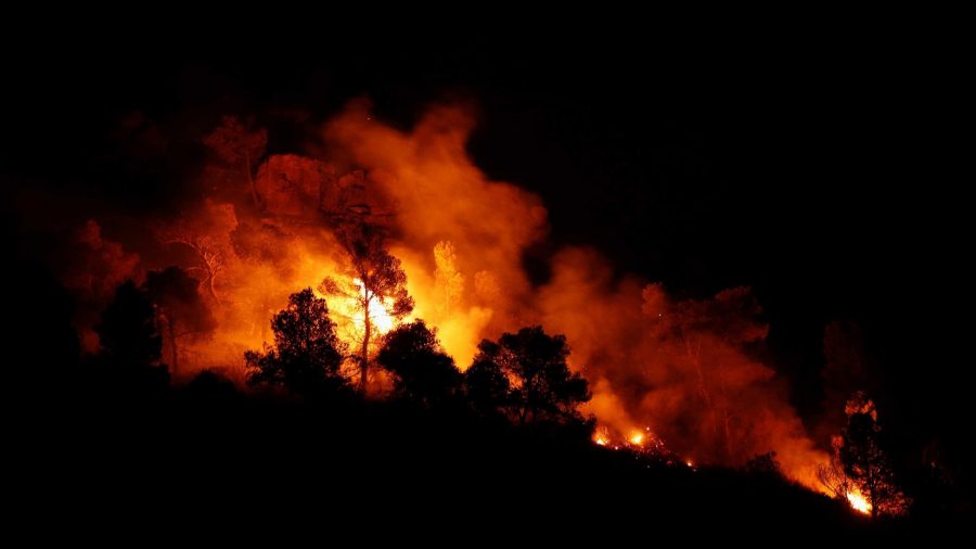 It’s so Hot in Spain That Manure Self-Ignited, Sparking a 10,000-Acre Wildfire