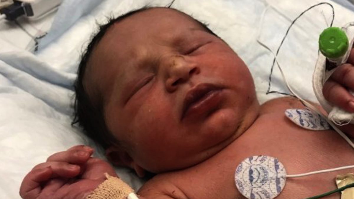 newborn baby found in woods
