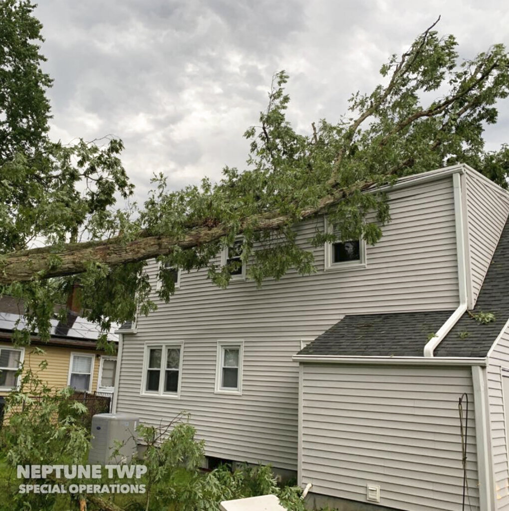 A tree leans on the roof of a home