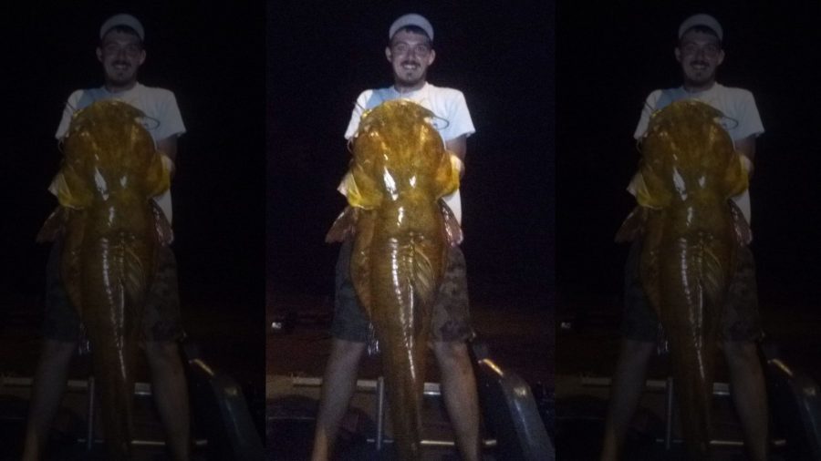 Man Catches Biggest Ever Flathead Catfish in Florida