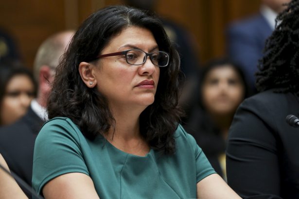 Rep. Rashida Tlaib (D-Mich.) at a House hearing in front of the Committee