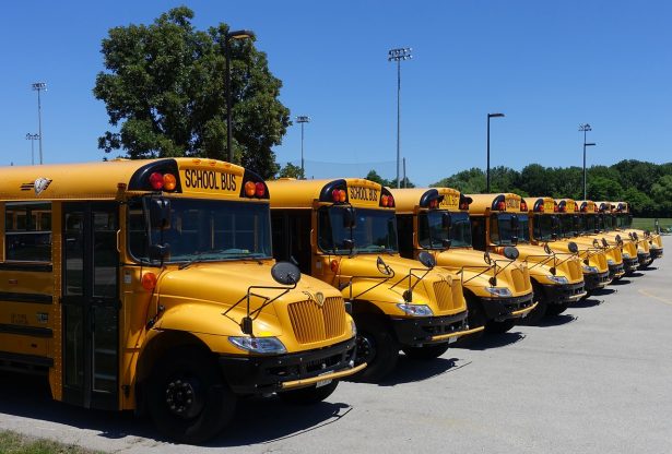 school busses at a parking lot