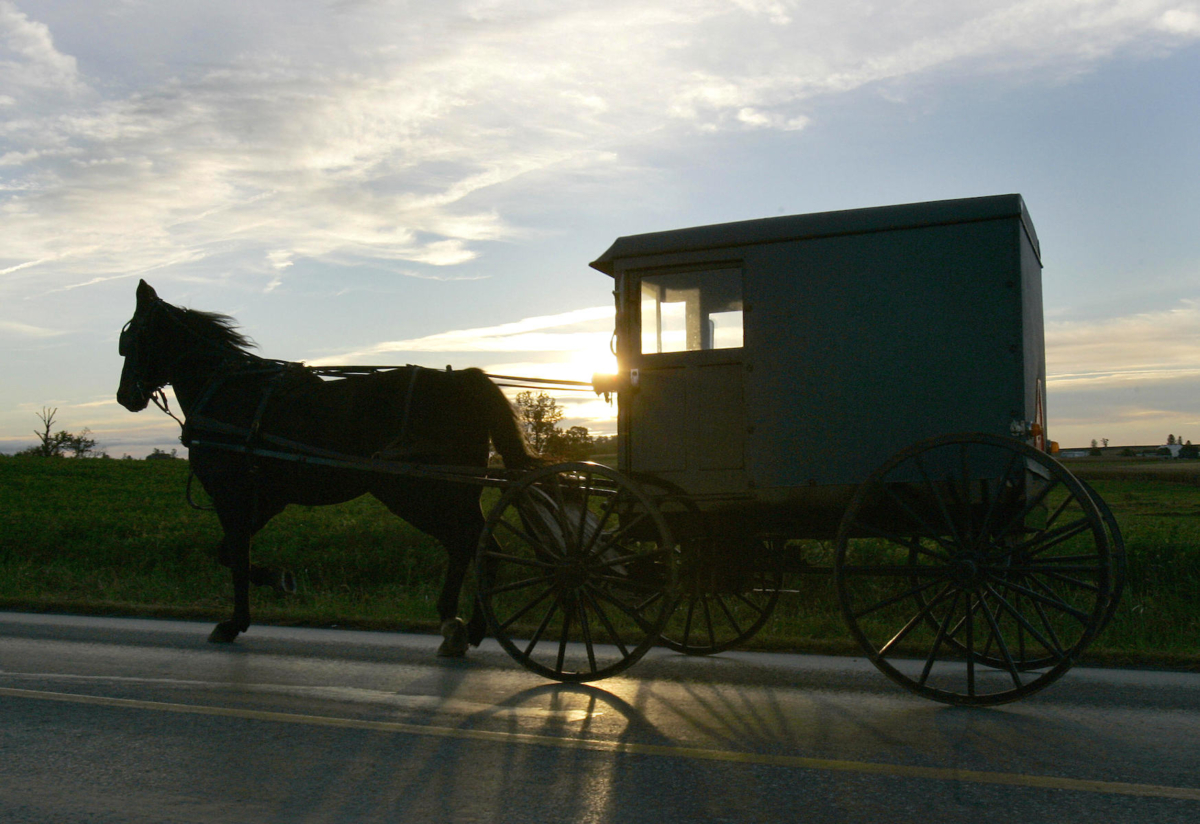 amish-buggy