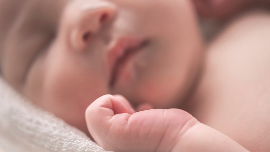 Birth Rate Falls in 42 States Over Past Decade, Net Growth Below 1 Million for First Time