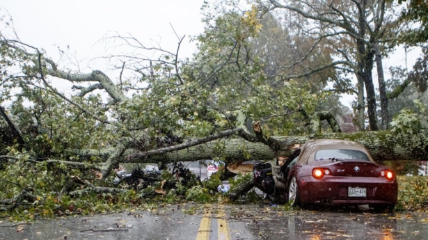 A downed tree is seen on top of a car along Belvoir Avenue in Chattanooga