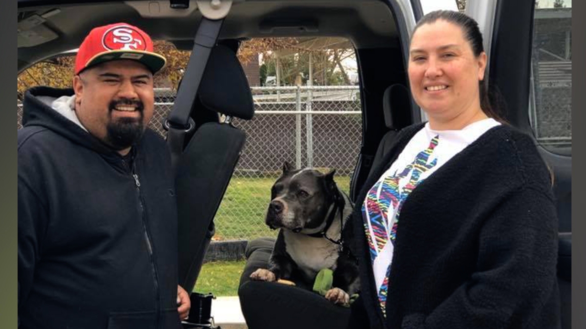 Fresno Bully Rescue 1