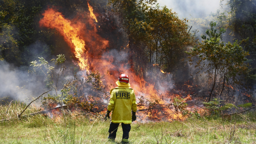 Rainfall Forecast Gives Hope to Australia’s Firefighters
