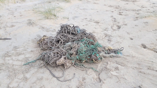 Fishing Nets found in Sperm Whale