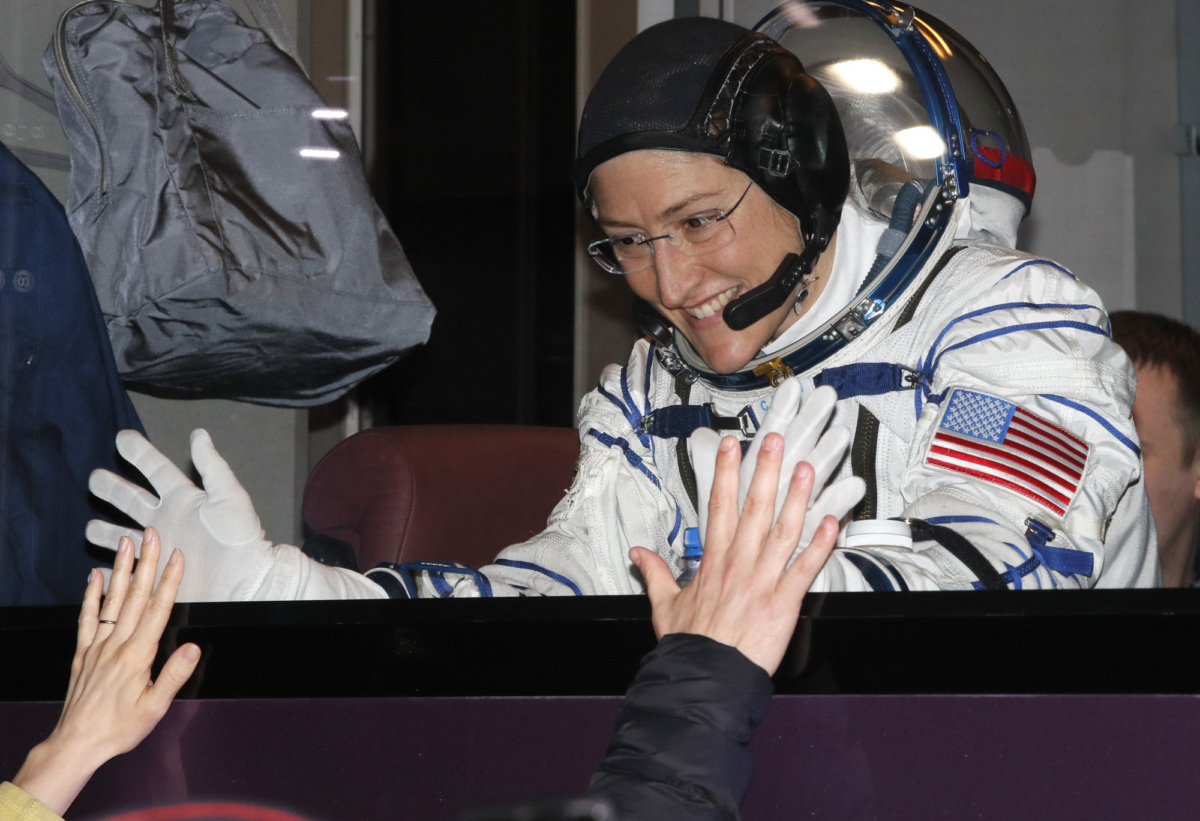 NASA Astronaut Shares Beautiful Image Of 2020’S First Meteor Shower