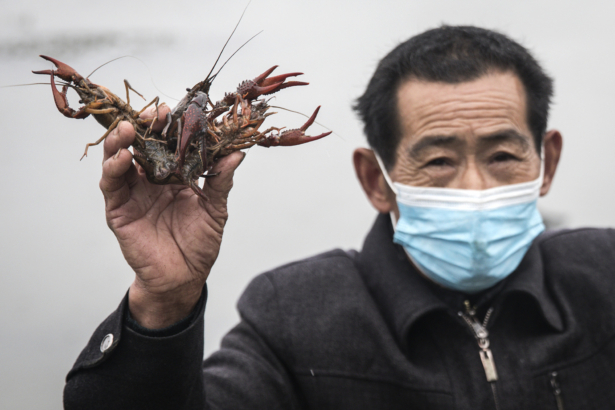 Crayfish farmer