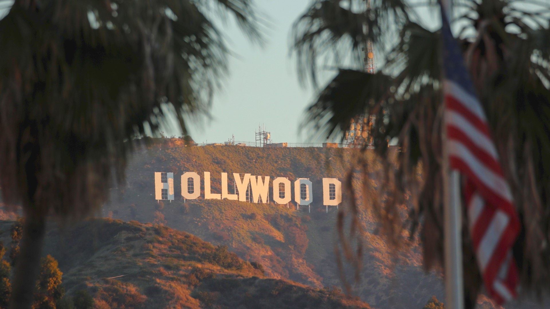 hollywood-s-agenda-and-the-new-hollywood-movement-interview-with-cary