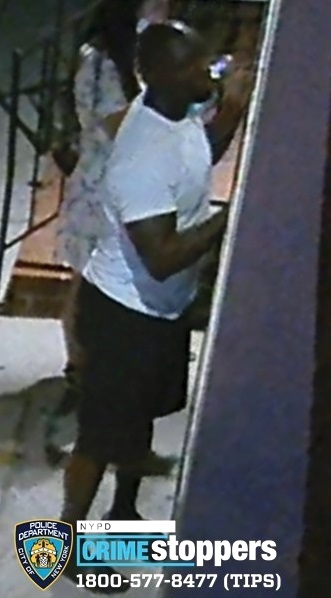 Suspect in actress slashing