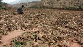 China in Focus (Aug. 14): 5,700 Farmers’ Homes Involved in Forced Demolition