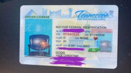 Woman Receives New Drivers License With Picture of Empty Chair
