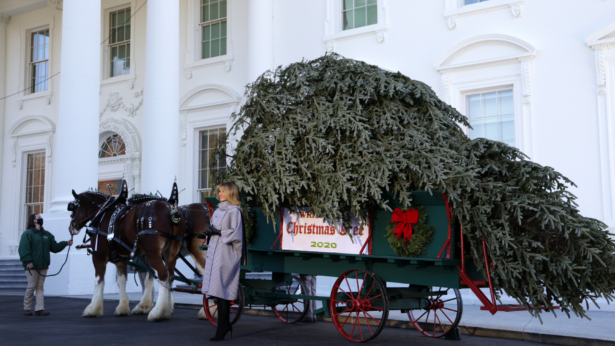 U.S. first lady Melania Trump receives the 2020 White House Christmas Tree