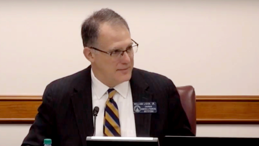 Full Video: Georgia Senate Subcommittee Holds Hearing on Election Issues