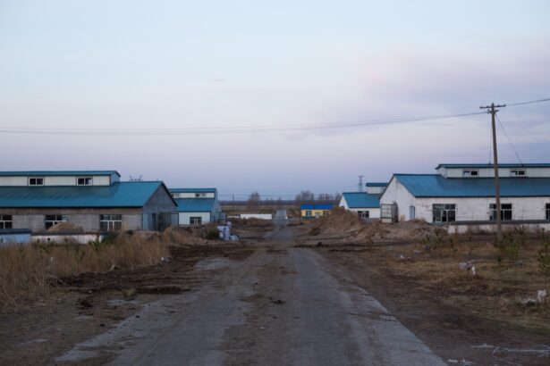 In Rural China, Small Dairy Farms Are Dying Out As Milk Market Changes