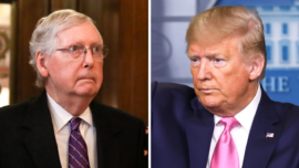 Trump: GOP Won’t Win If They Stick With McConnell, will back MAGA Primary challengers