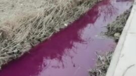Chinese Rivers Turn Red Amid Pollution