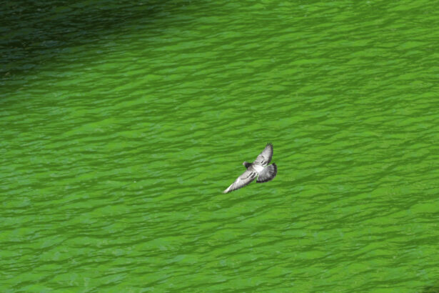 River dyed green