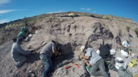 Fossils of Oldest Member of Huge Dinosaur Group Found in Argentina