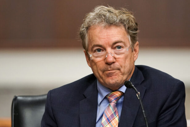 Sen. Rand Paul (R-KY) ask questions during a Senate Homeland Security