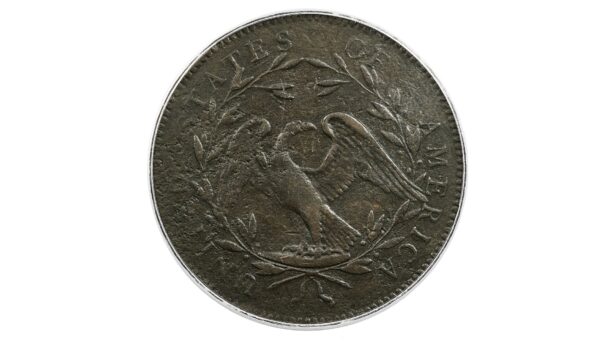 No Stars Flowing Hair Dollar1