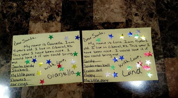 The twins' Christmas wish lists