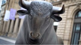 Mother, Son Killed by Bulls in Germany