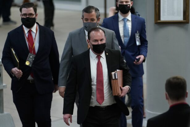Mike Lee, Ted Cruz