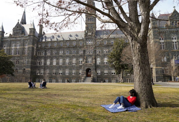 A student studies in the sunshine