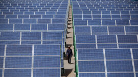 Solar Supply Chain Hit by Xinjiang Trade Ban
