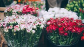 Flower Shortage Ahead of Mother’s Day