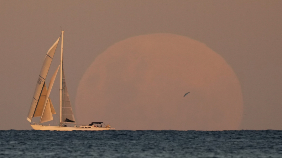 Buildup to Super Blood Moon Eclipses the Finale