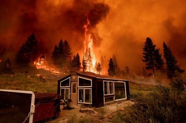 The Tamarack Fire burns behind a greenhouse
