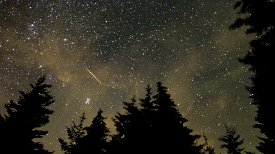 A Meteor Shower Will Light Up the Night Sky This Weekend