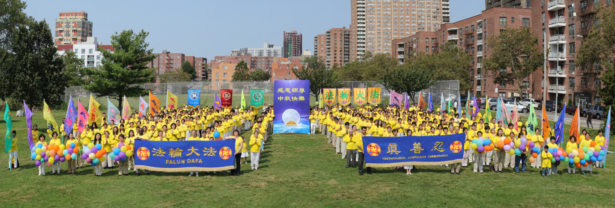 New York practitioners
