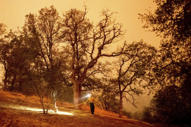 A firefighter lays hose around the Foothills Visitor Center