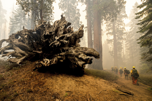 California Wildfires